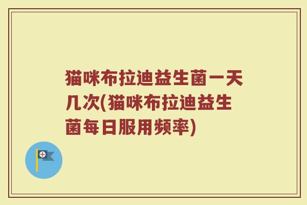 猫咪布拉迪益生菌一天几次(猫咪布拉迪益生菌每日服用频率)