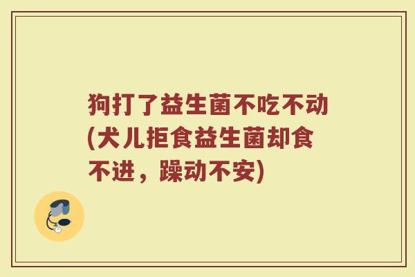 狗打了益生菌不吃不动(犬儿拒食益生菌却食不进，躁动不安)