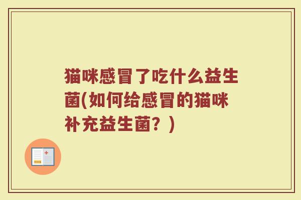 猫咪感冒了吃什么益生菌(如何给感冒的猫咪补充益生菌？)
