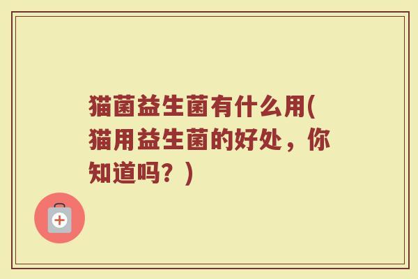 猫菌益生菌有什么用(猫用益生菌的好处，你知道吗？)