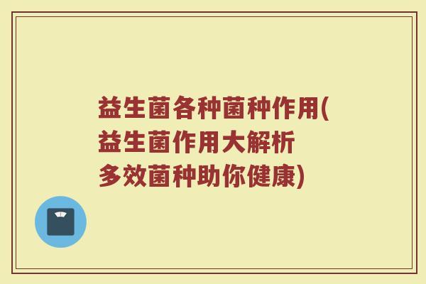 益生菌各种菌种作用(益生菌作用大解析  多效菌种助你健康)