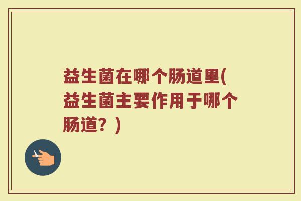 益生菌在哪个肠道里(益生菌主要作用于哪个肠道？)