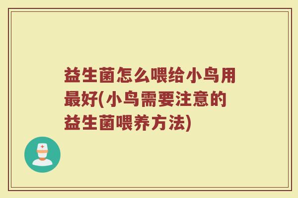 益生菌怎么喂给小鸟用最好(小鸟需要注意的益生菌喂养方法)