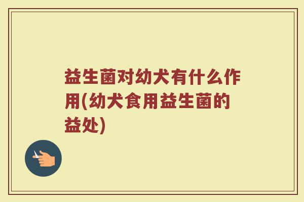 益生菌对幼犬有什么作用(幼犬食用益生菌的益处)