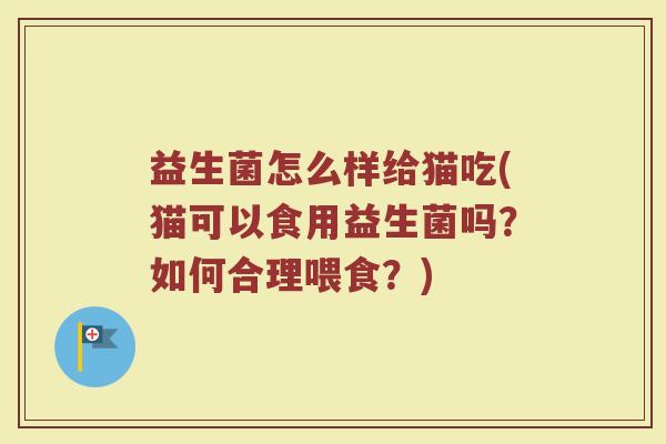 益生菌怎么样给猫吃(猫可以食用益生菌吗？如何合理喂食？)
