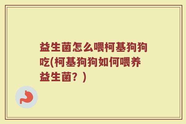 益生菌怎么喂柯基狗狗吃(柯基狗狗如何喂养益生菌？)