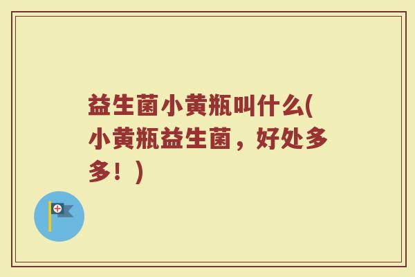益生菌小黄瓶叫什么(小黄瓶益生菌，好处多多！)