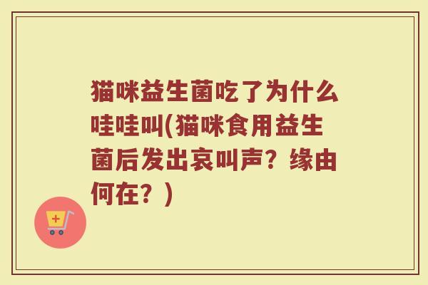 猫咪益生菌吃了为什么哇哇叫(猫咪食用益生菌后发出哀叫声？缘由何在？)