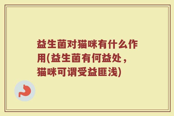益生菌对猫咪有什么作用(益生菌有何益处，猫咪可谓受益匪浅)