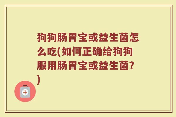 狗狗肠胃宝或益生菌怎么吃(如何正确给狗狗服用肠胃宝或益生菌？)