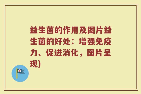 益生菌的作用及图片益生菌的好处：增强免疫力、促进消化，图片呈现)