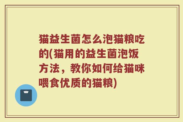 猫益生菌怎么泡猫粮吃的(猫用的益生菌泡饭方法,教你如何给猫咪喂食优质的猫粮)