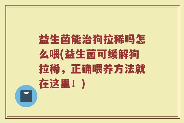 益生菌能治狗拉稀吗怎么喂(益生菌可缓解狗拉稀，正确喂养方法就在这里！)