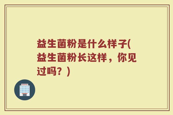 益生菌粉是什么样子(益生菌粉长这样，你见过吗？)