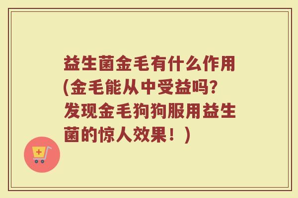 益生菌金毛有什么作用(金毛能从中受益吗？发现金毛狗狗服用益生菌的惊人效果！)