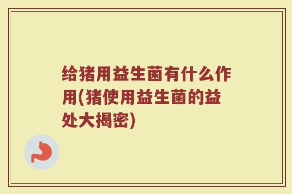 给猪用益生菌有什么作用(猪使用益生菌的益处大揭密)