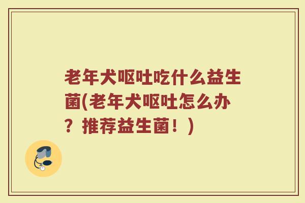 老年犬呕吐吃什么益生菌(老年犬呕吐怎么办？推荐益生菌！)