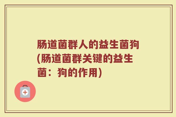 肠道菌群人的益生菌狗(肠道菌群关键的益生菌：狗的作用)