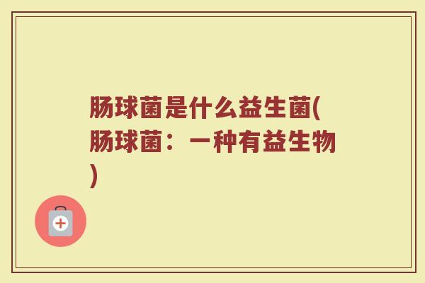 肠球菌是什么益生菌(肠球菌：一种有益生物)