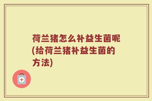 荷兰猪怎么补益生菌呢(给荷兰猪补益生菌的方法)