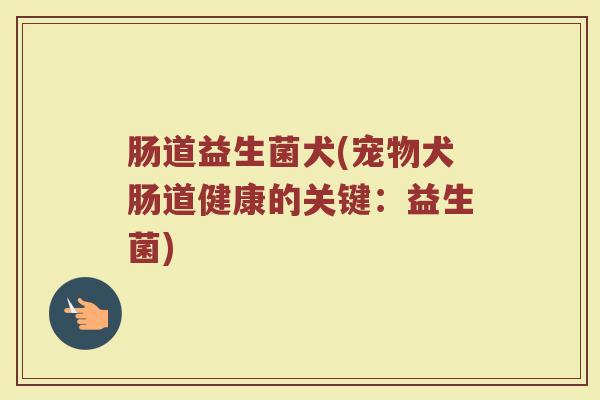 肠道益生菌犬(宠物犬肠道健康的关键：益生菌)