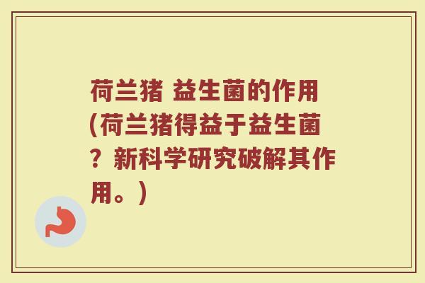 荷兰猪 益生菌的作用(荷兰猪得益于益生菌？新科学研究破解其作用。)
