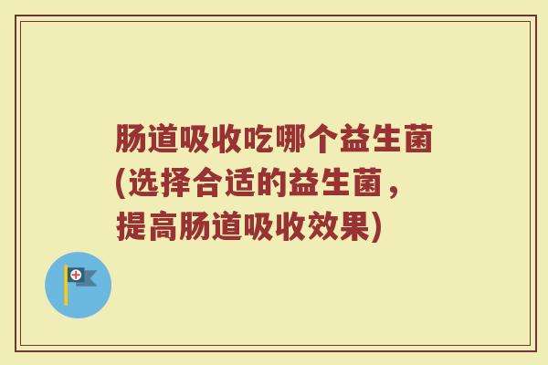 肠道吸收吃哪个益生菌(选择合适的益生菌，提高肠道吸收效果)