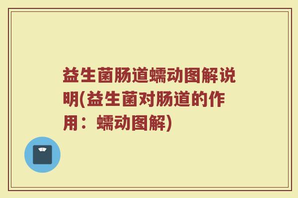 益生菌肠道蠕动图解说明(益生菌对肠道的作用：蠕动图解)