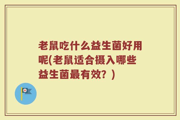 老鼠吃什么益生菌好用呢(老鼠适合摄入哪些益生菌最有效？)