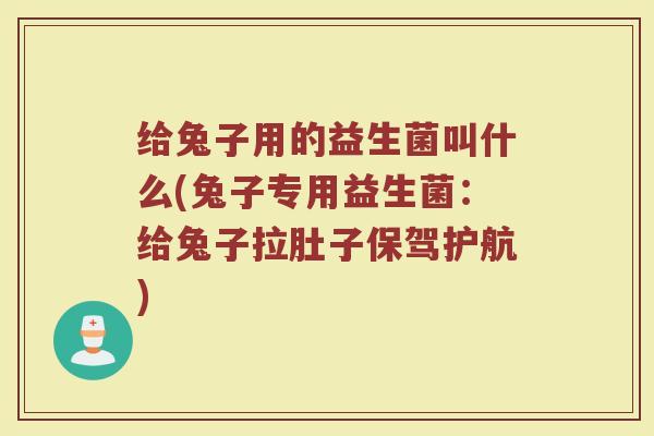 给兔子用的益生菌叫什么(兔子专用益生菌：给兔子拉肚子保驾护航)