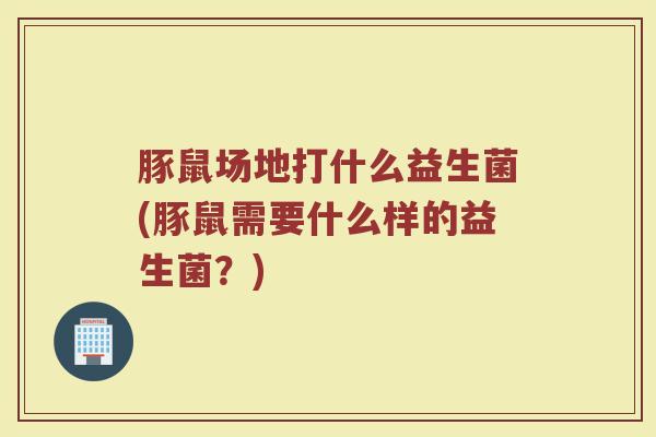 豚鼠场地打什么益生菌(豚鼠需要什么样的益生菌？)