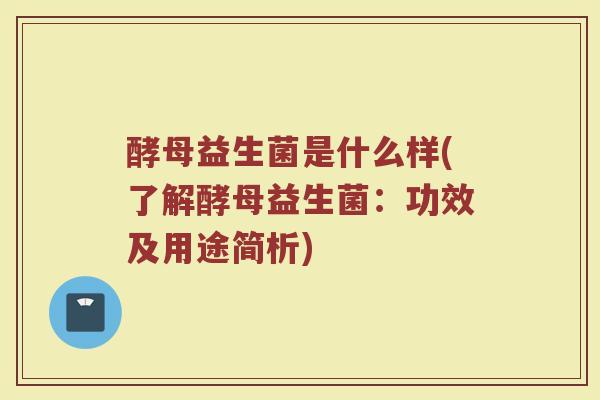 酵母益生菌是什么样(了解酵母益生菌：功效及用途简析)