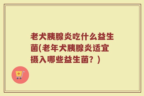 老犬胰腺炎吃什么益生菌(老年犬胰腺炎适宜摄入哪些益生菌？)