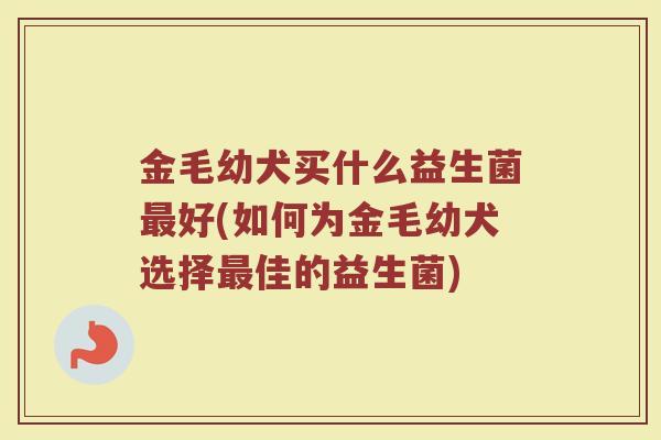 金毛幼犬买什么益生菌最好(如何为金毛幼犬选择最佳的益生菌)
