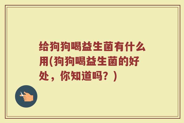 给狗狗喝益生菌有什么用(狗狗喝益生菌的好处，你知道吗？)