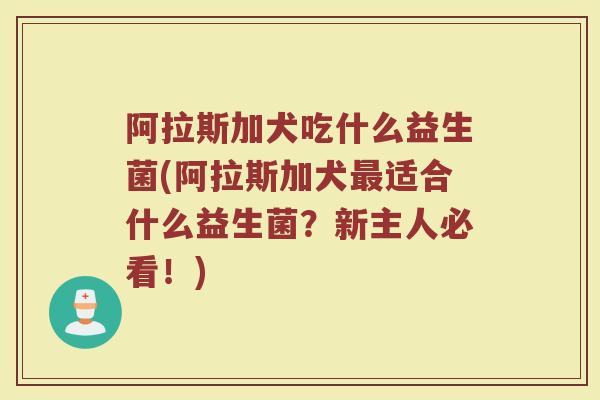 阿拉斯加犬吃什么益生菌(阿拉斯加犬最适合什么益生菌？新主人必看！)