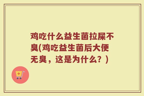 鸡吃什么益生菌拉屎不臭(鸡吃益生菌后大便无臭，这是为什么？)