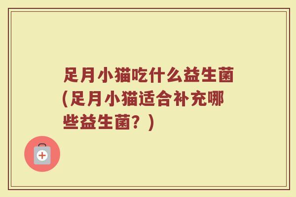 足月小猫吃什么益生菌(足月小猫适合补充哪些益生菌？)