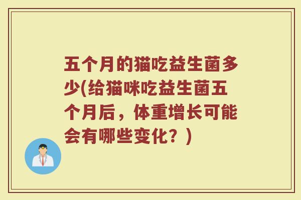 五个月的猫吃益生菌多少(给猫咪吃益生菌五个月后，体重增长可能会有哪些变化？)