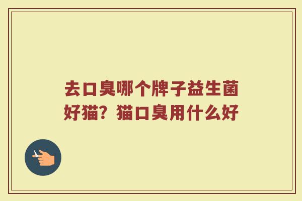 去口臭哪个牌子益生菌好猫？猫口臭用什么好