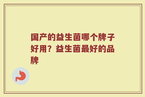 国产的益生菌哪个牌子好用？益生菌最好的品牌