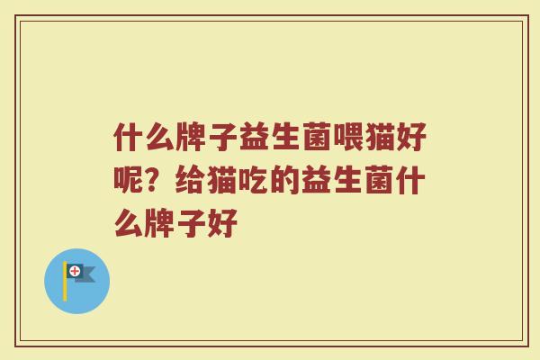 什么牌子益生菌喂猫好呢？给猫吃的益生菌什么牌子好