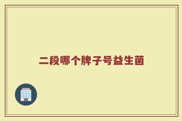 二段哪个牌子号益生菌