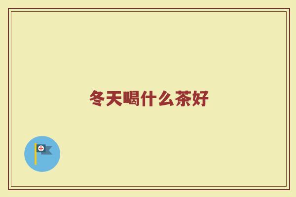 冬天喝什么茶好