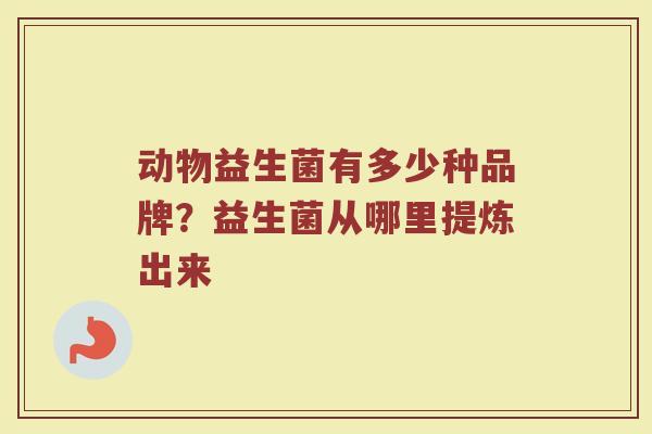 动物益生菌有多少种品牌？益生菌从哪里提炼出来