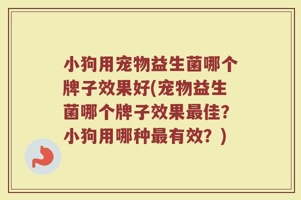 小狗用宠物益生菌哪个牌子效果好(宠物益生菌哪个牌子效果佳？小狗用哪种有效？)