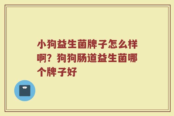 小狗益生菌牌子怎么样啊？狗狗肠道益生菌哪个牌子好