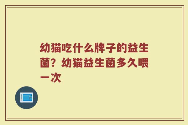 幼猫吃什么牌子的益生菌？幼猫益生菌多久喂一次