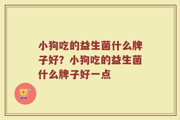 小狗吃的益生菌什么牌子好？小狗吃的益生菌什么牌子好一点