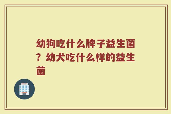幼狗吃什么牌子益生菌？幼犬吃什么样的益生菌